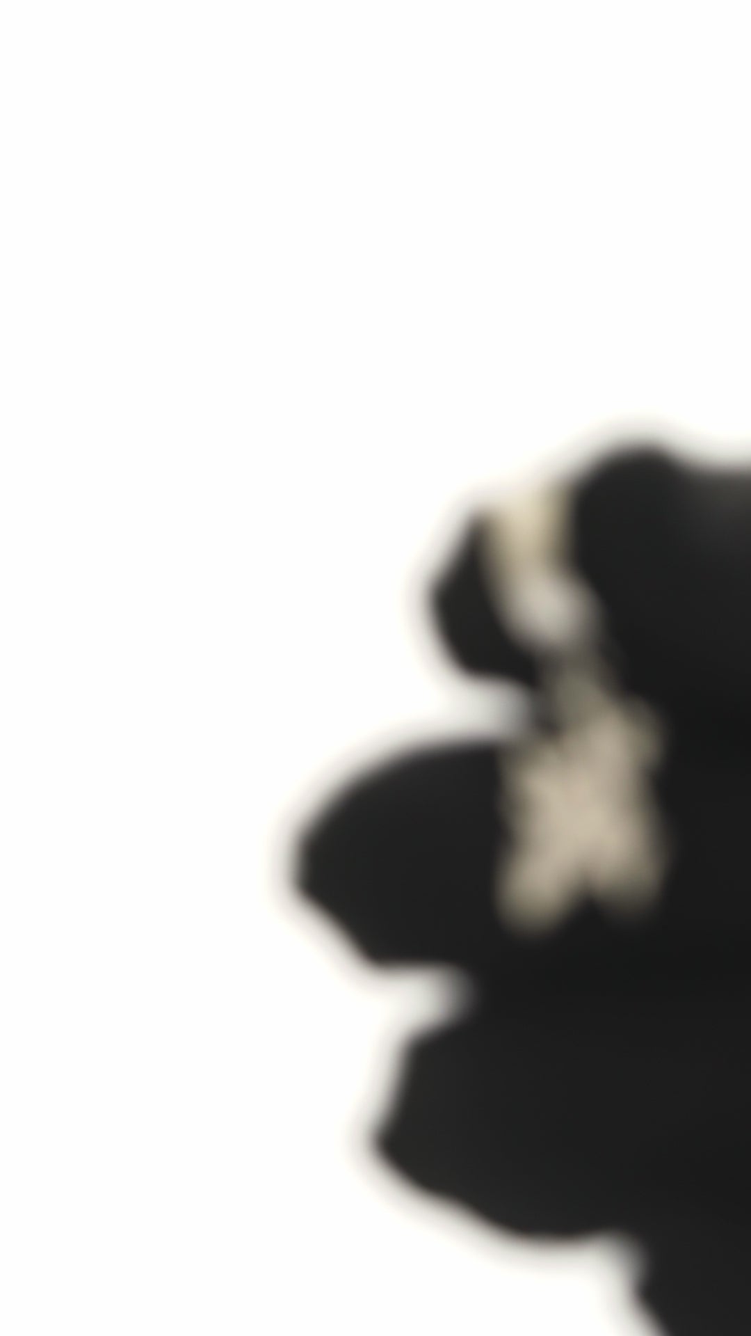 DESTROY KANJI EARRINGS